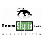 Logo_Team_Styria.jpg
